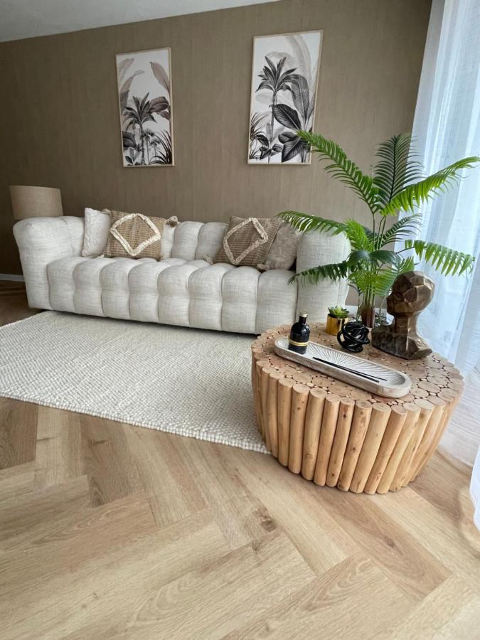 New Cosy Flat Saint Tropez Daire Dış mekan fotoğraf